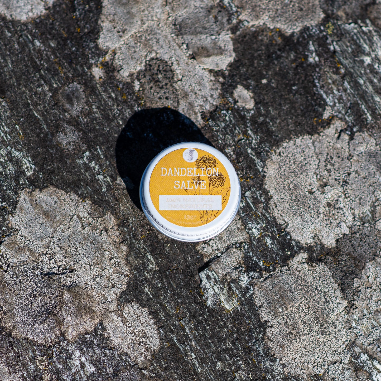 Dandelion scent-free salve 100% natural