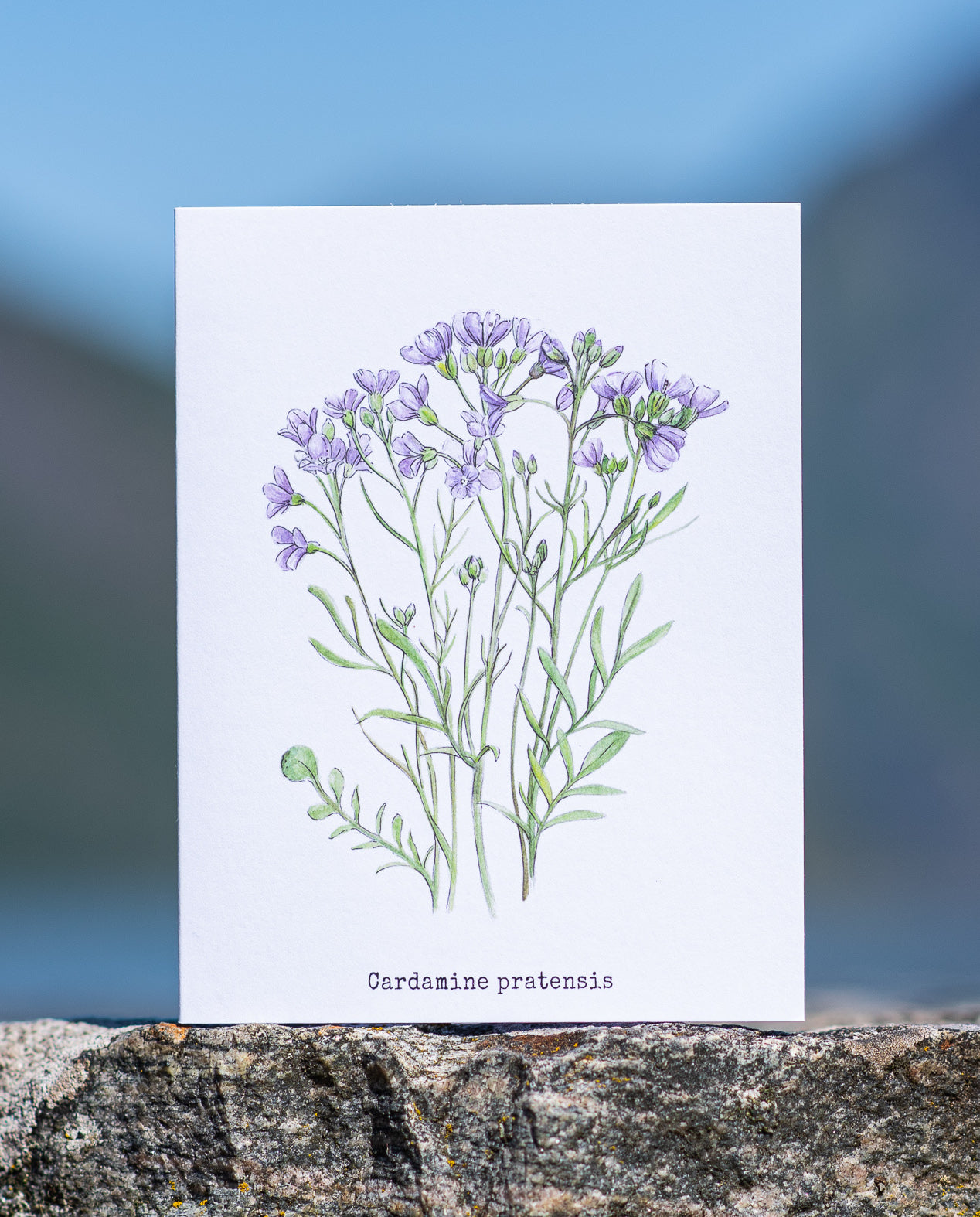 Wenskaart "Wentelkruid boven de rivier de Flåm"