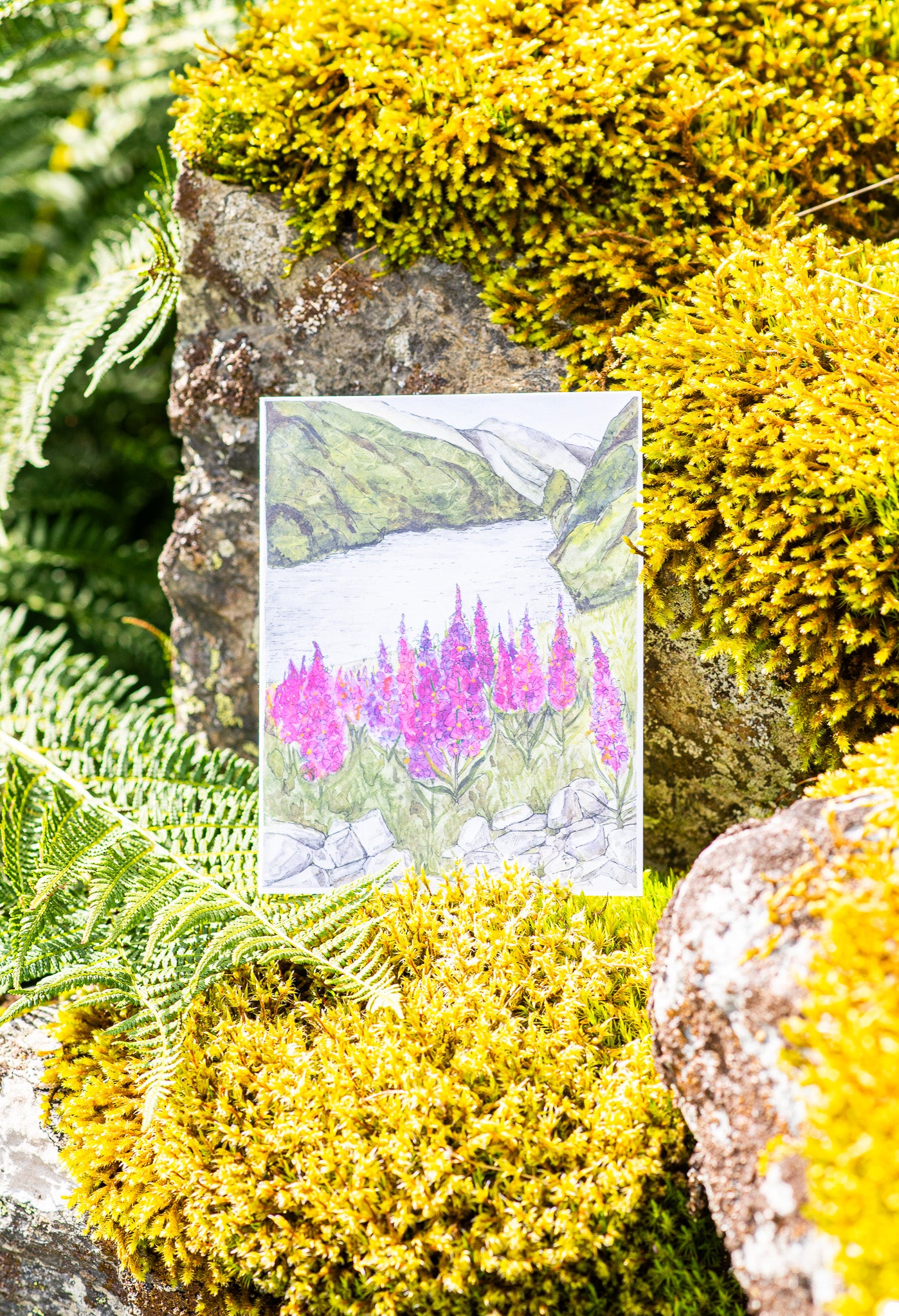 Tarjeta de felicitación "Flores de amapola sobre el río Flåm"