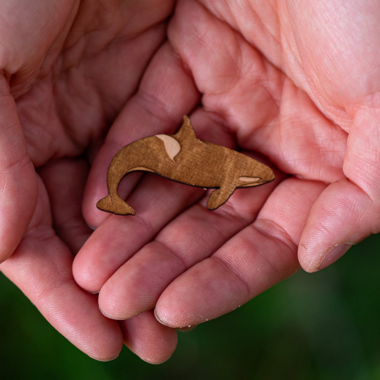 Walvis Pin Groot