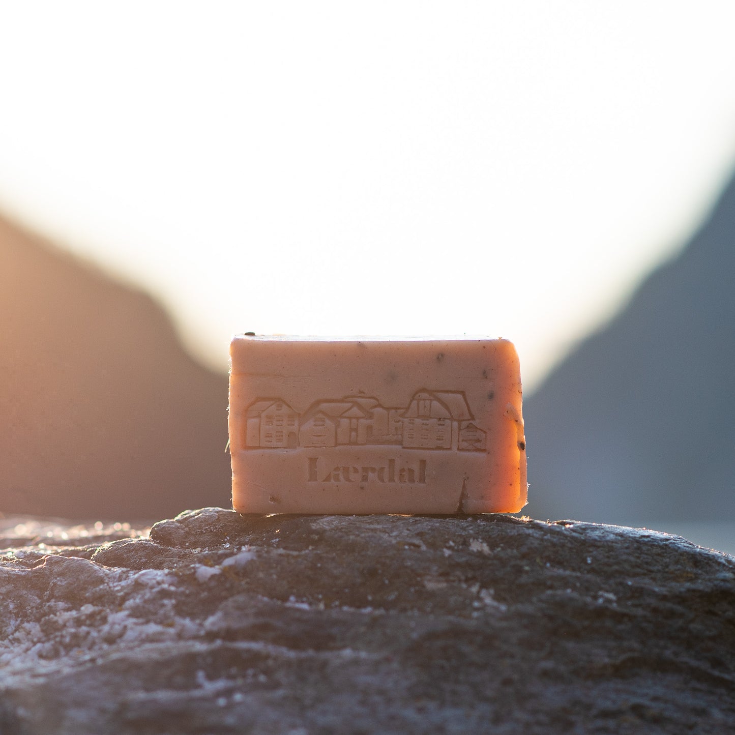 Lærdal fragrance soap & scrub in 1