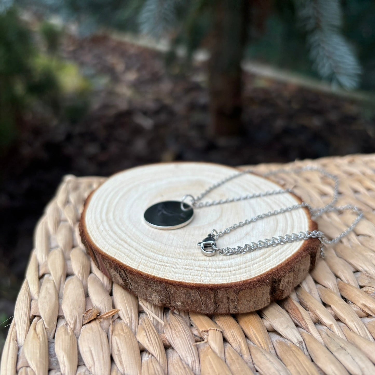 Collar de ballena - Acero inoxidable
