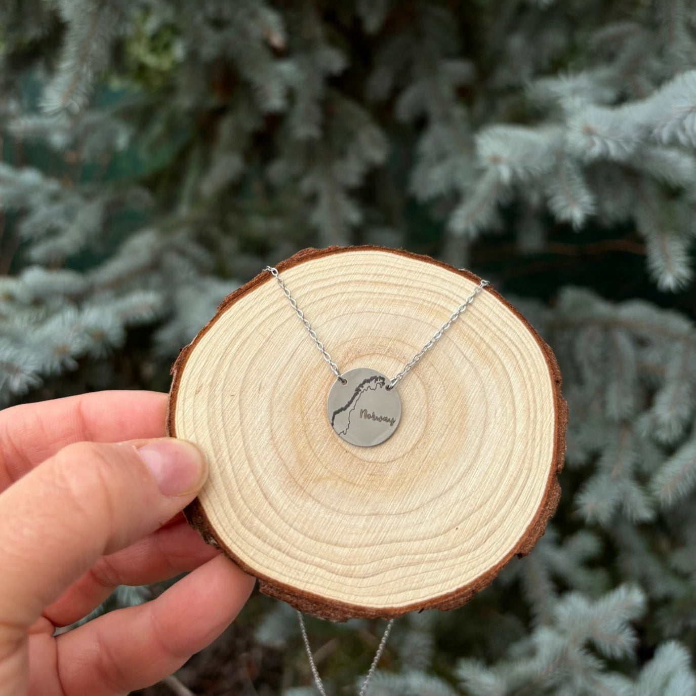 Noorwegen omtrek ronde ketting - roestvrij staal