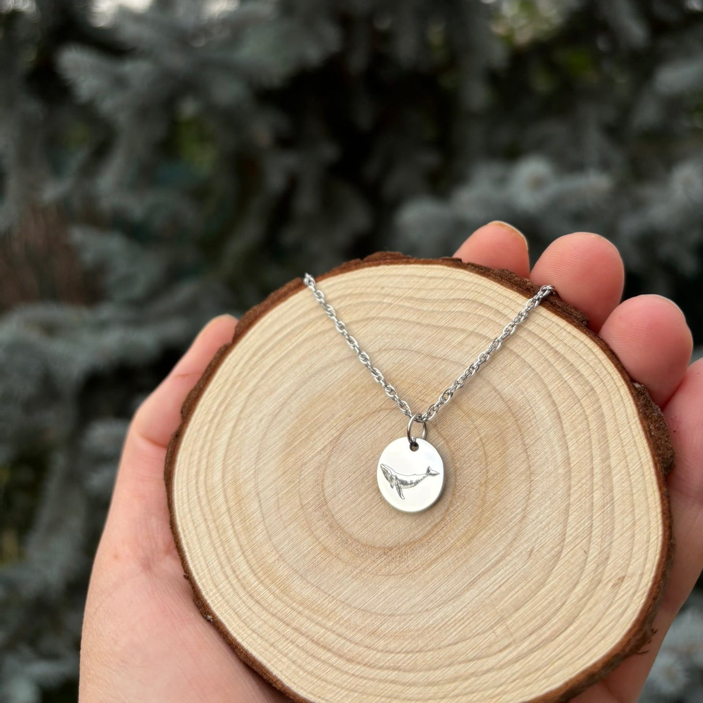 Collar de ballena - Acero inoxidable