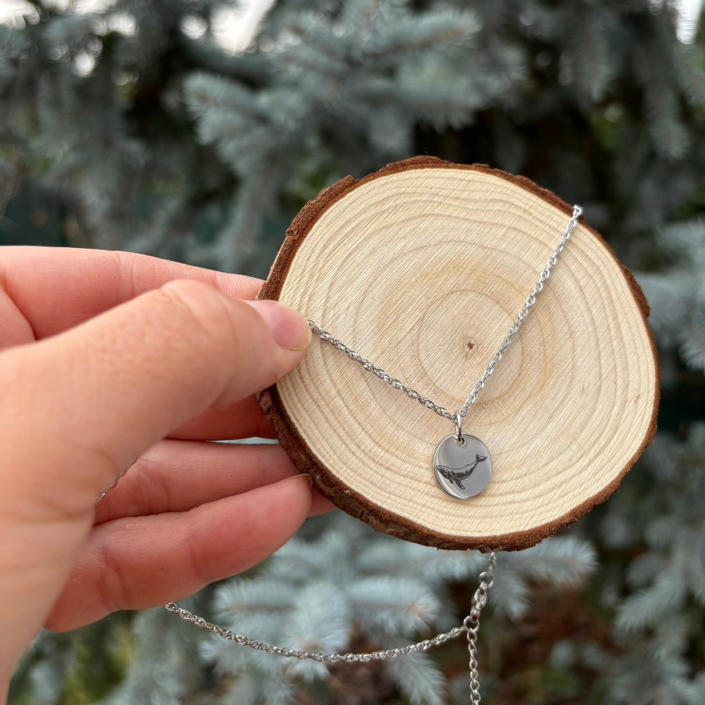 Collar de ballena - Acero inoxidable