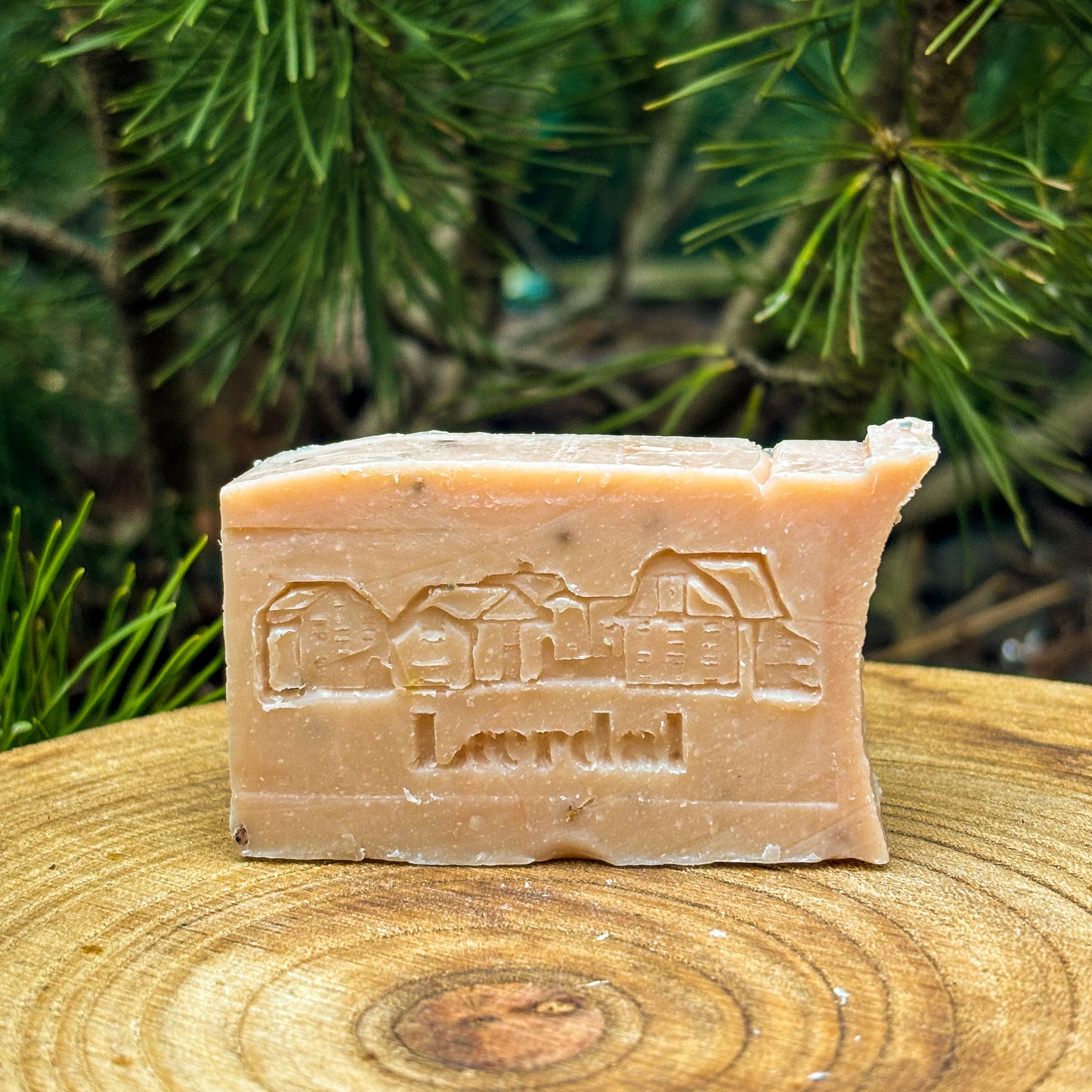 Lærdal fragrance soap & scrub in 1