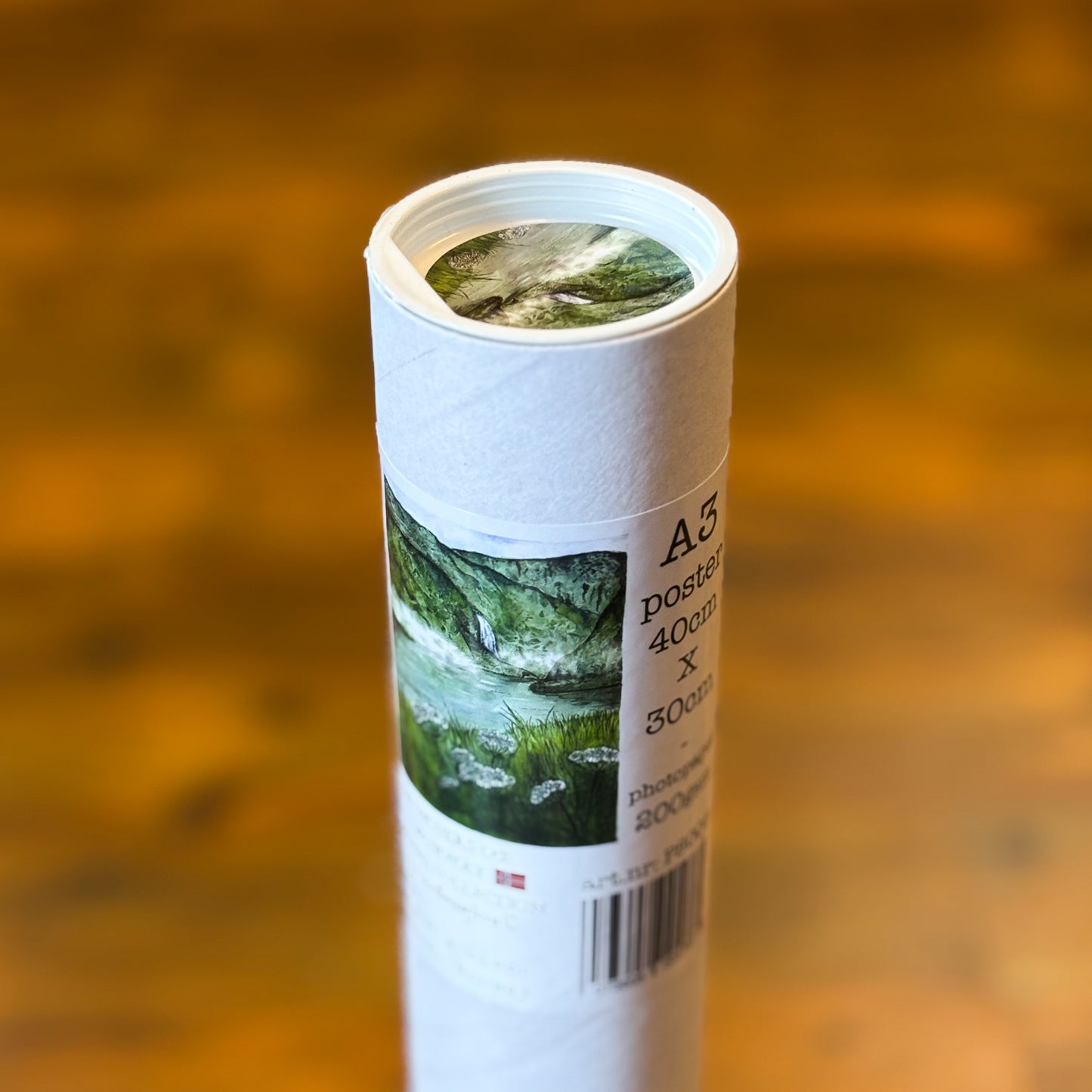 A3 Poster Scenery-Aurlandsdalen with White lace flowers
