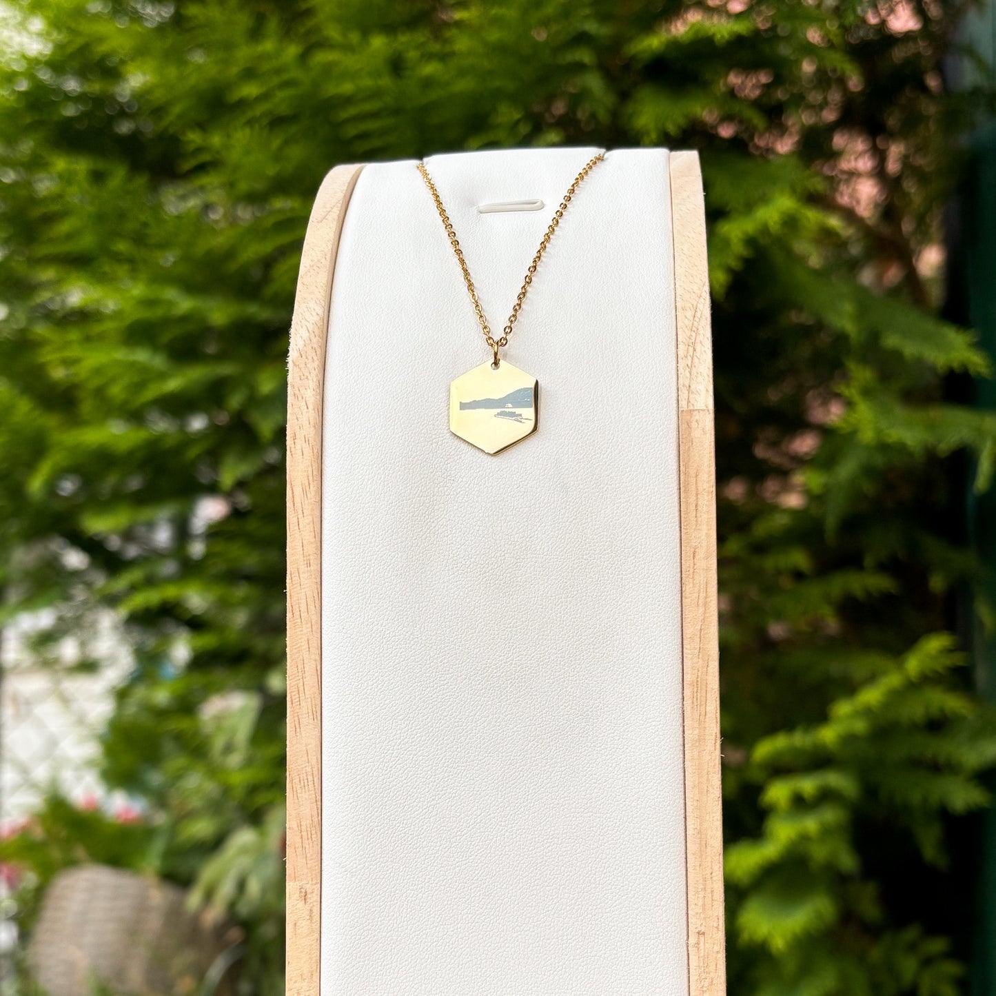 Vision of the fjords ferry necklace - Stainless Steel