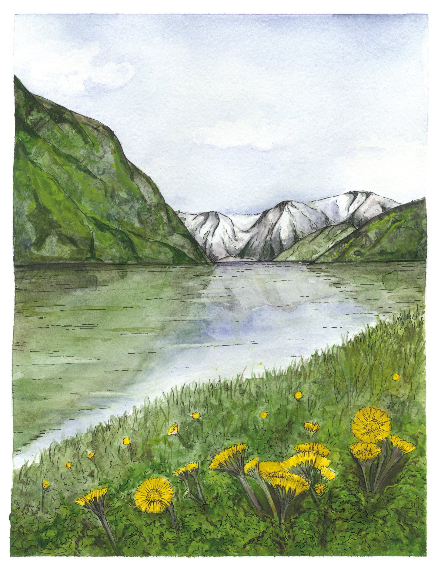 A3 Poster Scenery-Naeroyfjord and Coltsfoot flowers