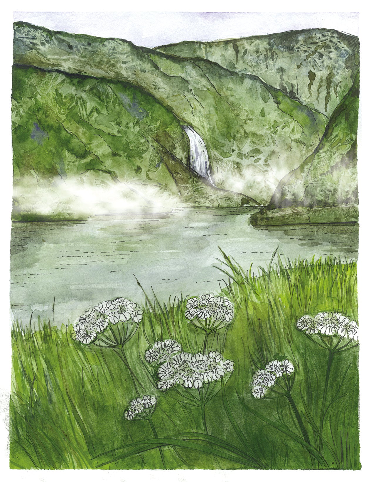 A3 Poster Scenery-Aurlandsdalen with White lace flowers