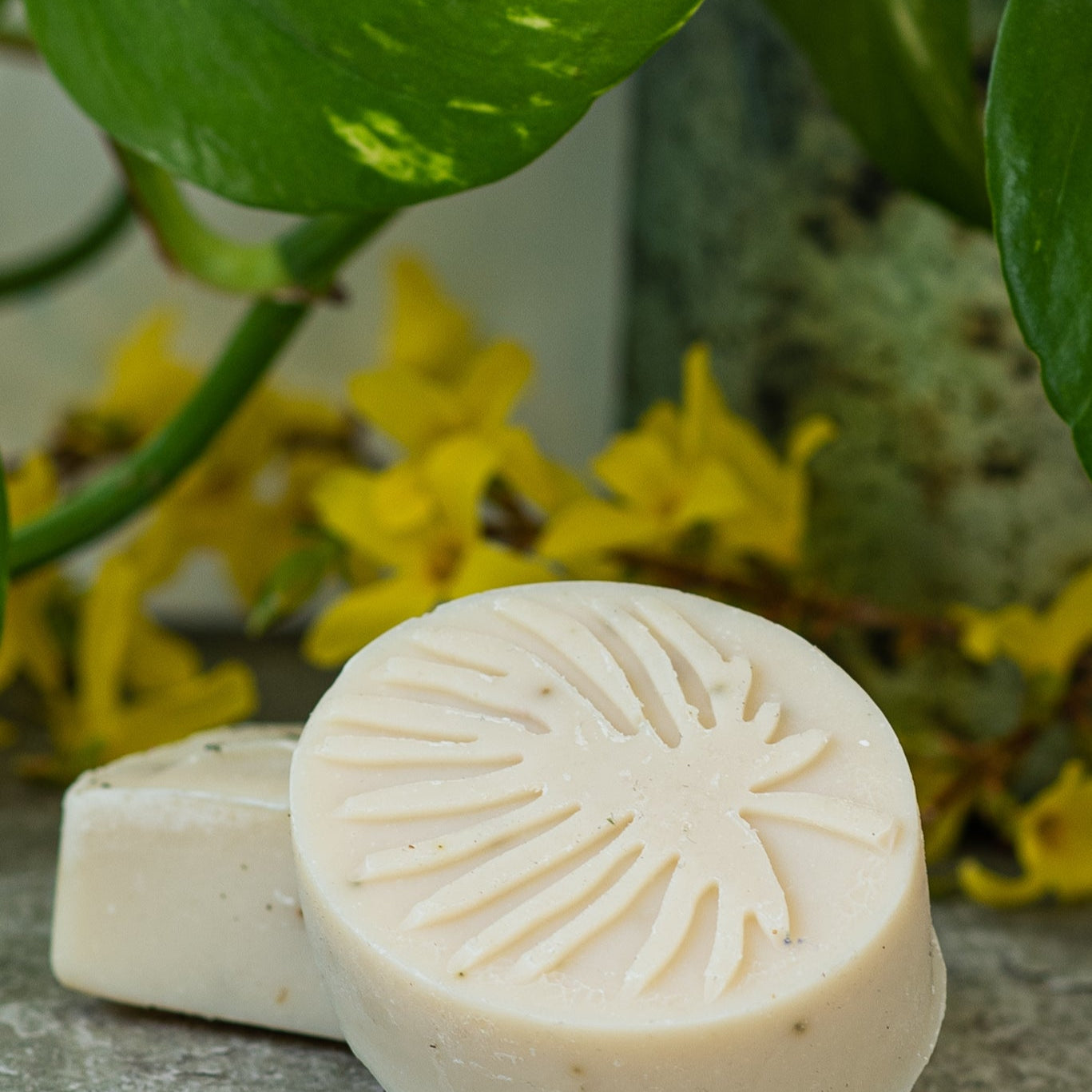 Rosemary&Teatree natural soap