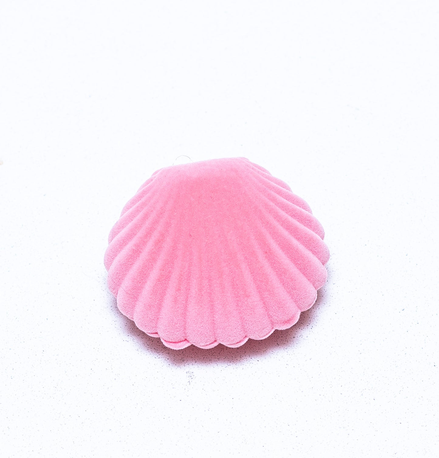 Shell gift box