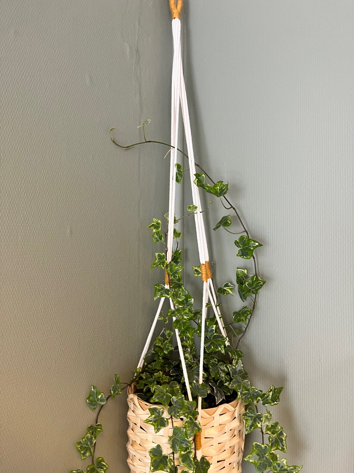 Makramé - planteholder