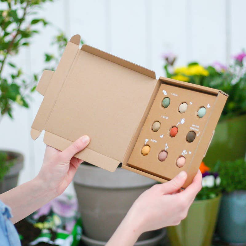 Seed bombs giftset