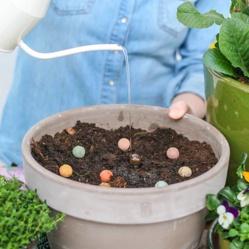 Seed bombs giftset