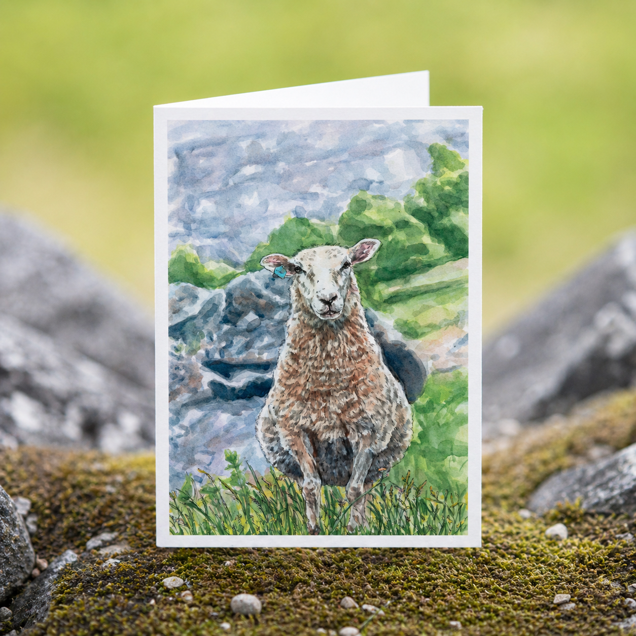 Scenery card- Mother Sheep being brought up to her summer pastures residence, Aurland, Norway