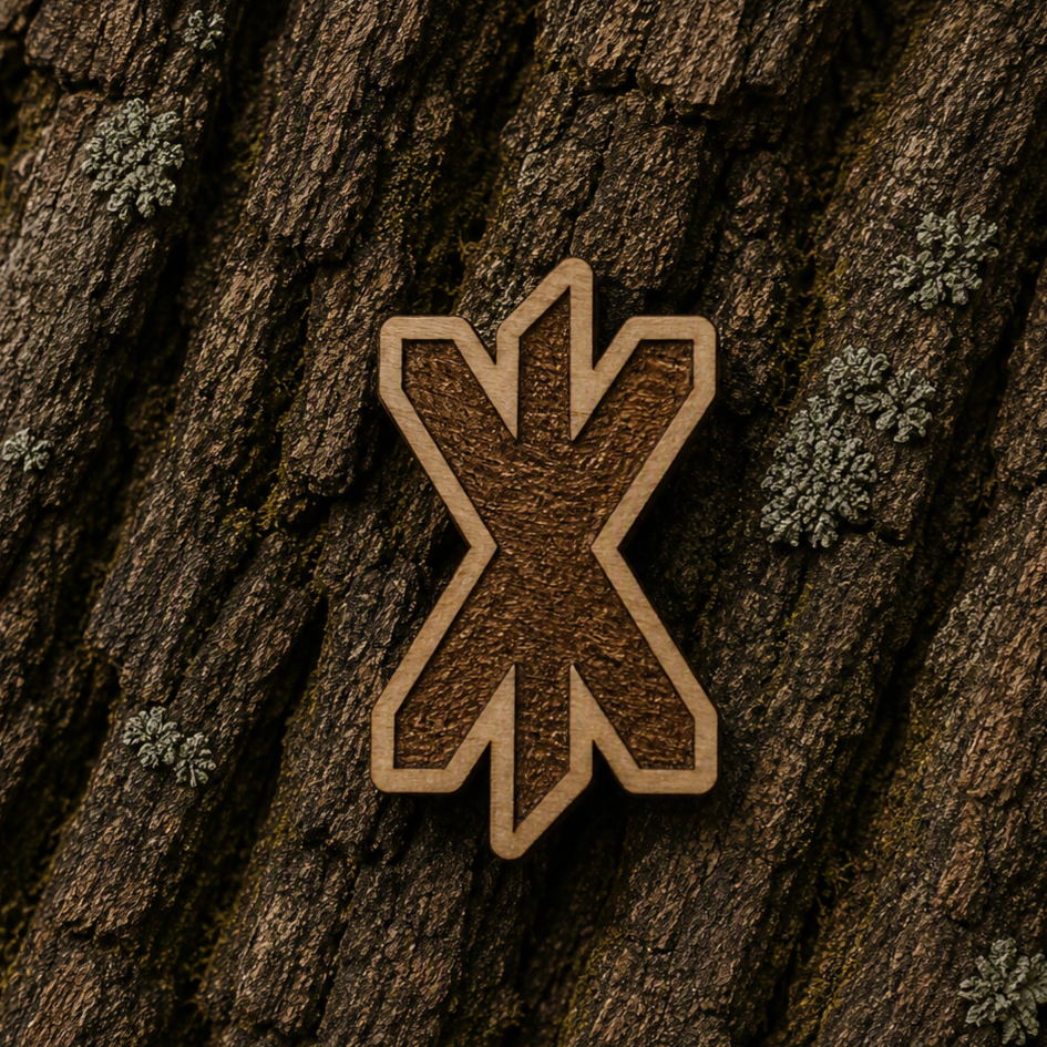 Strength rune 23x13mm pin