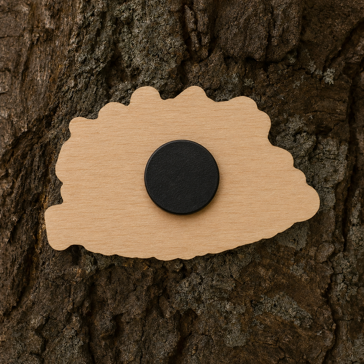 Otternes from above 50x31mm magnet