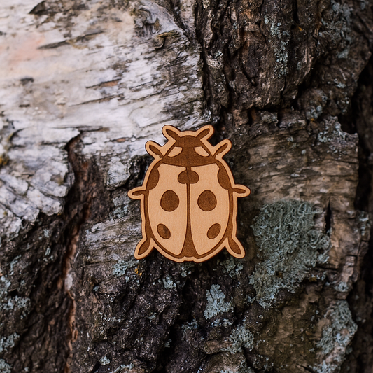 Lady bug 25x23mm pin