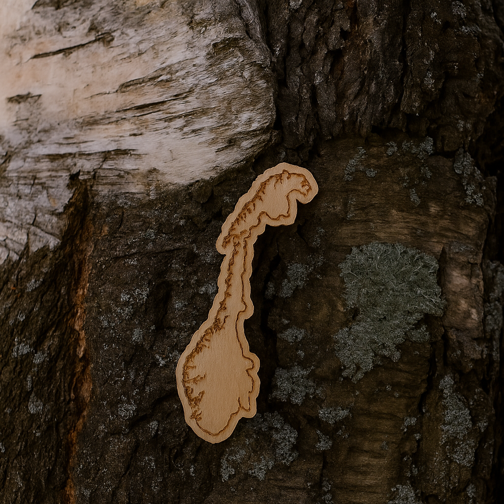 Norway country siluette 34x10mm pin
