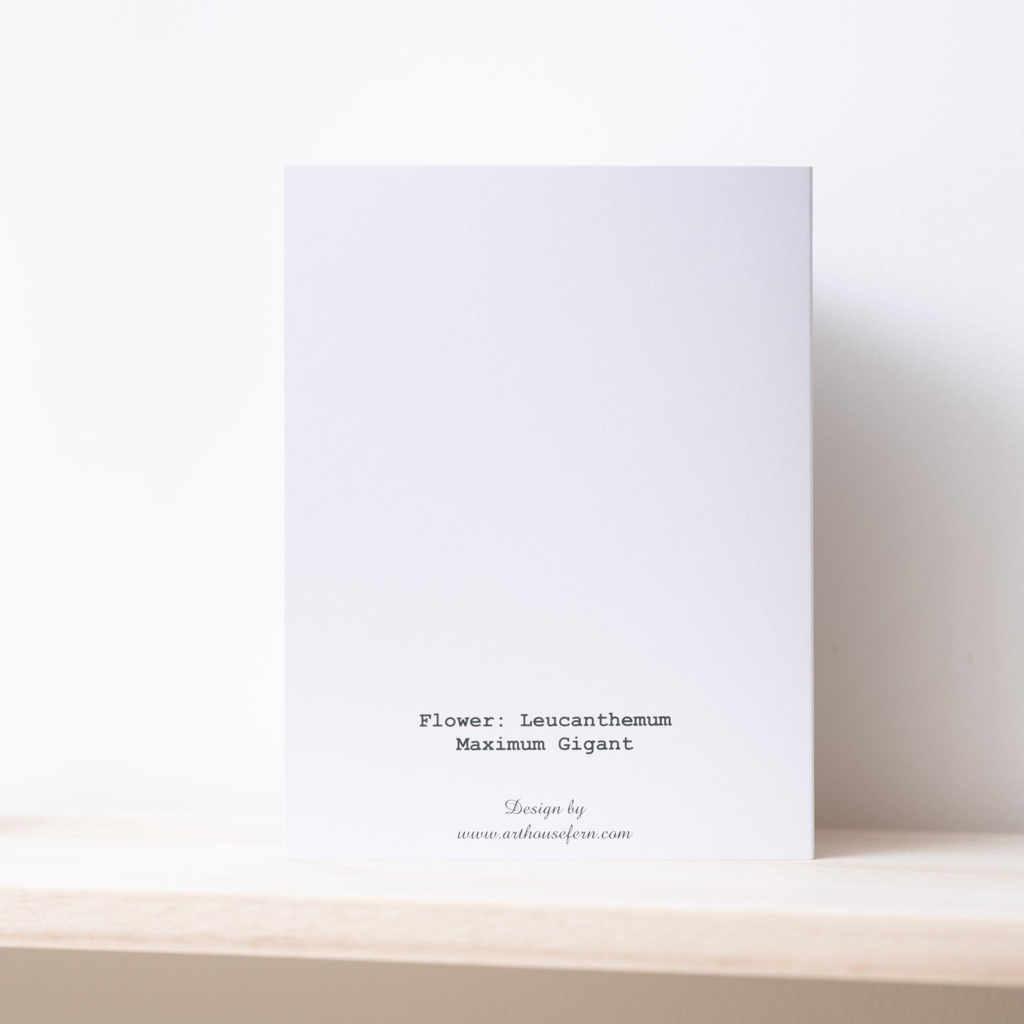 Daisies Illustation card