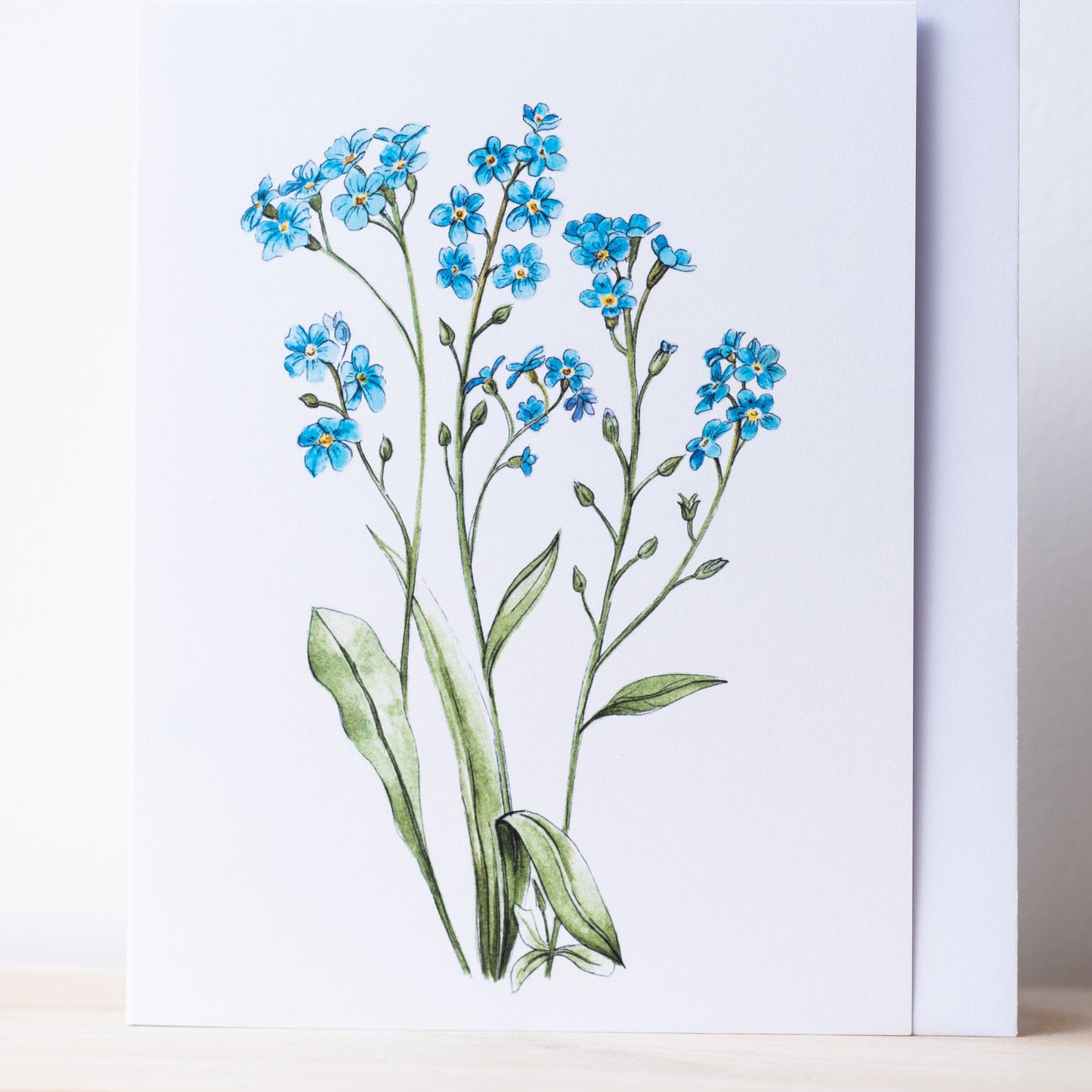 Forget me nots Illustation card