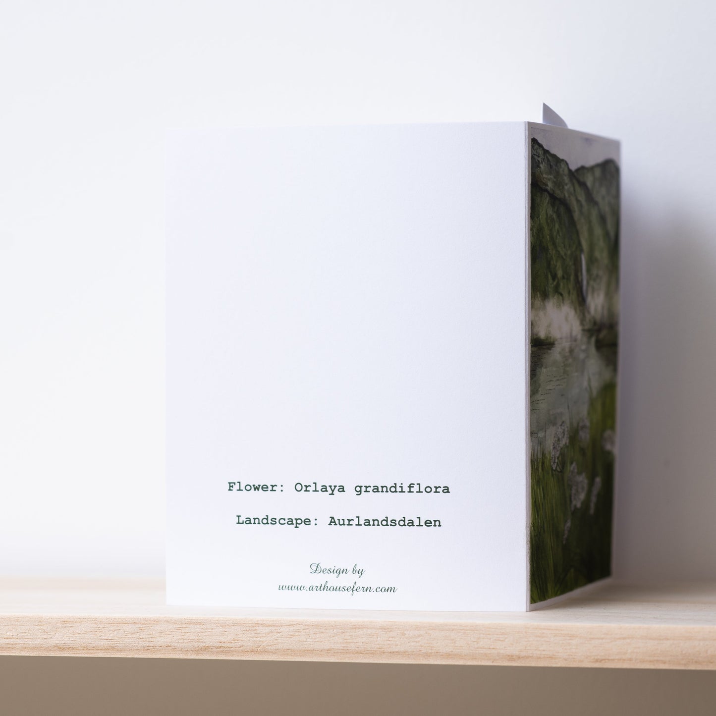 Scenery card- Aurlandsdalen with White lace flowers