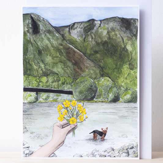 Scenery card-Flåm river, buttercups and Rex