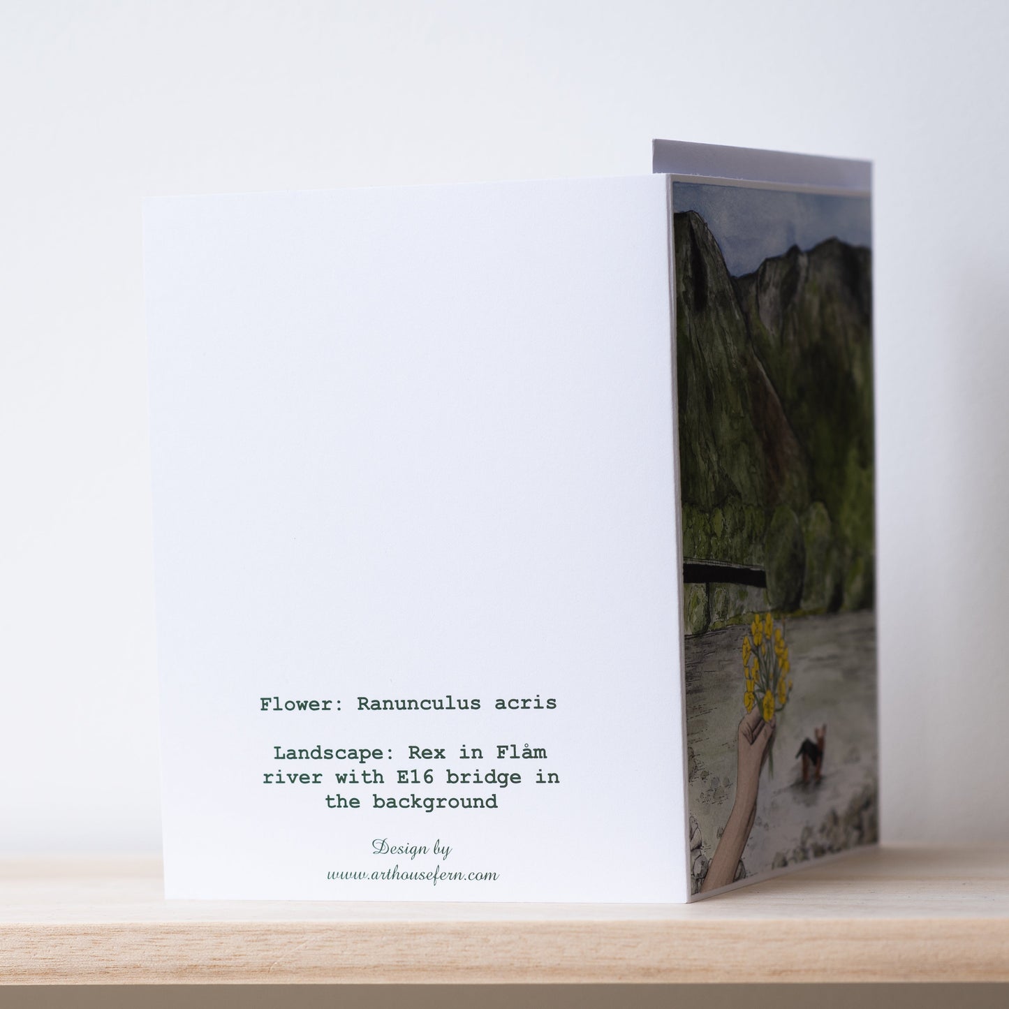 Scenery card-Flåm river, buttercups and Rex