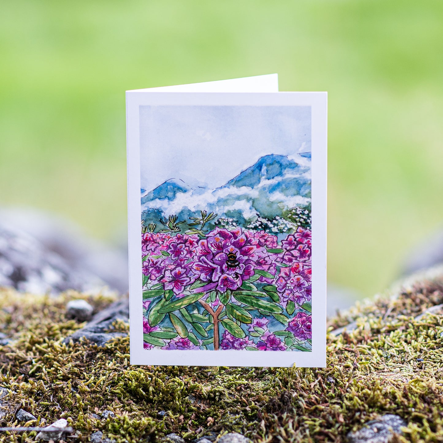 Scenery card- Rhododendron bush at Flåm port with bumble bee