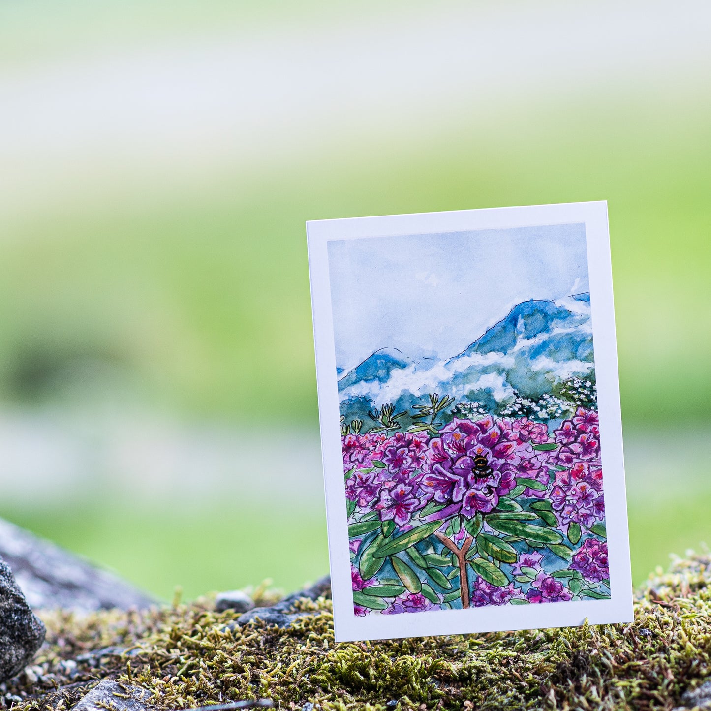 Scenery card- Rhododendron bush at Flåm port with bumble bee