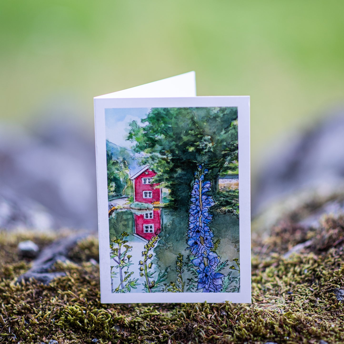 Scenery card- Little red house with pond and Monk’s hood flowers
