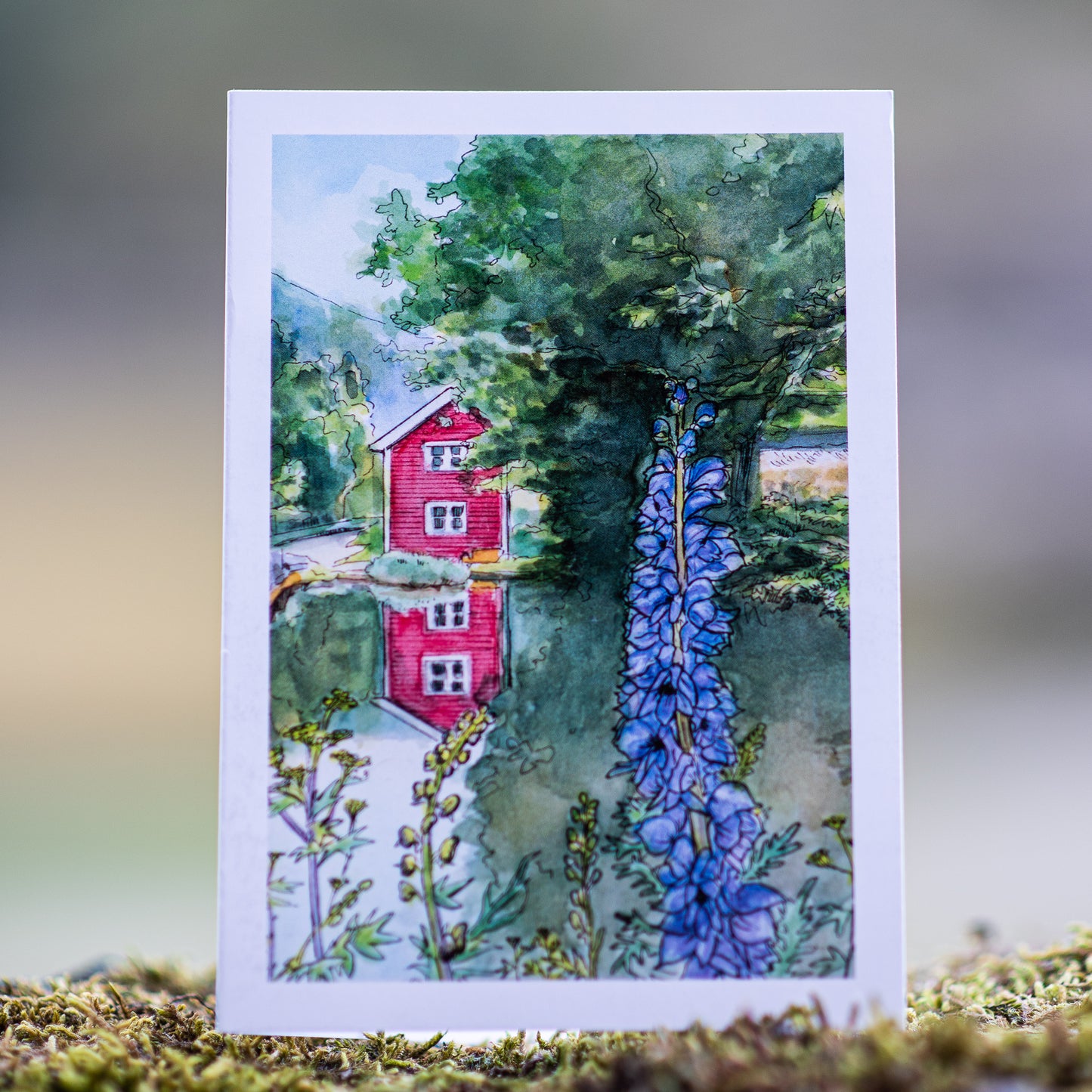 Scenery card- Little red house with pond and Monk’s hood flowers