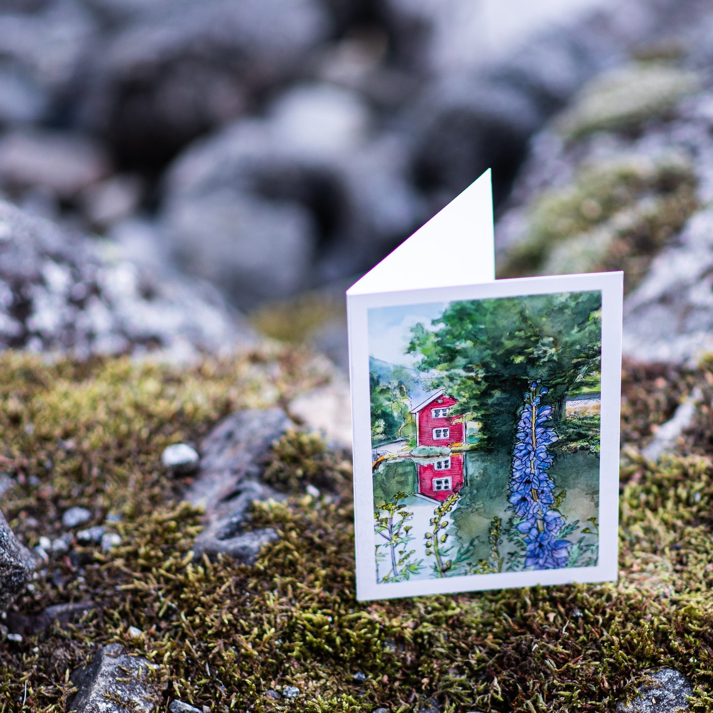 Scenery card- Little red house with pond and Monk’s hood flowers