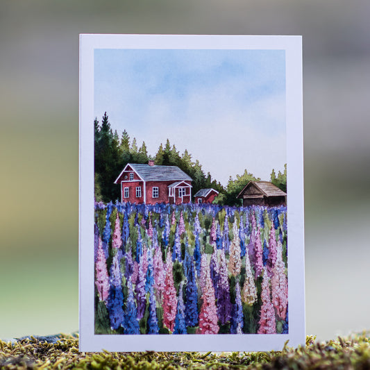 Scenery card- Lupins with red cabin Illustation