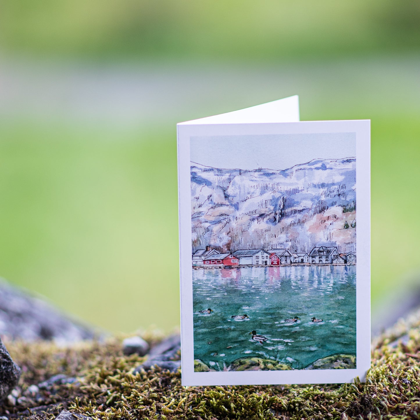 Scenery card- Lærdalsbryggja with ducks and moss