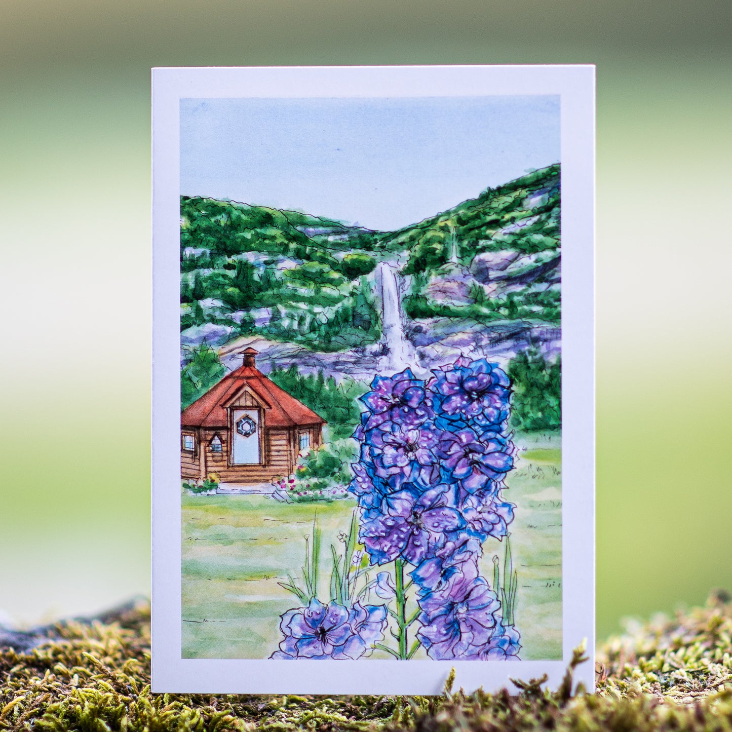 Scenery card- Hanseskogen with Delphinum