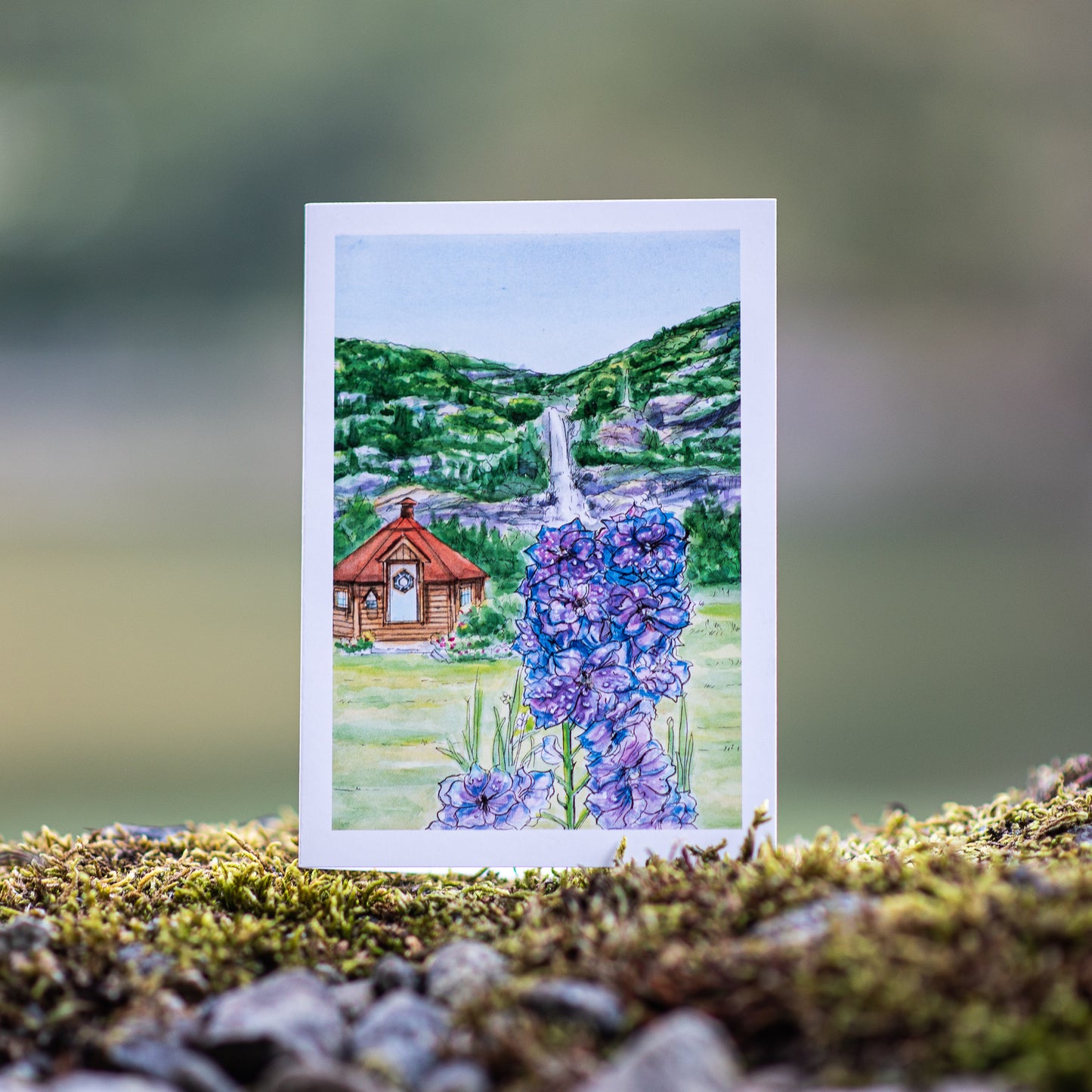 Scenery card- Hanseskogen with Delphinum