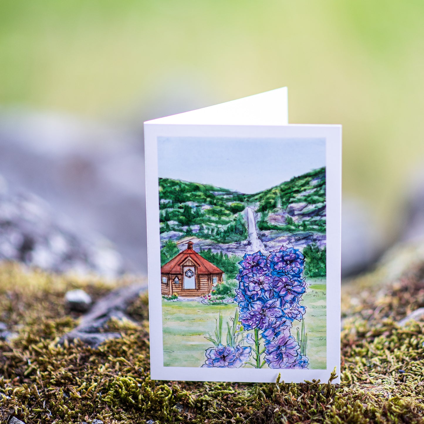 Scenery card- Hanseskogen with Delphinum