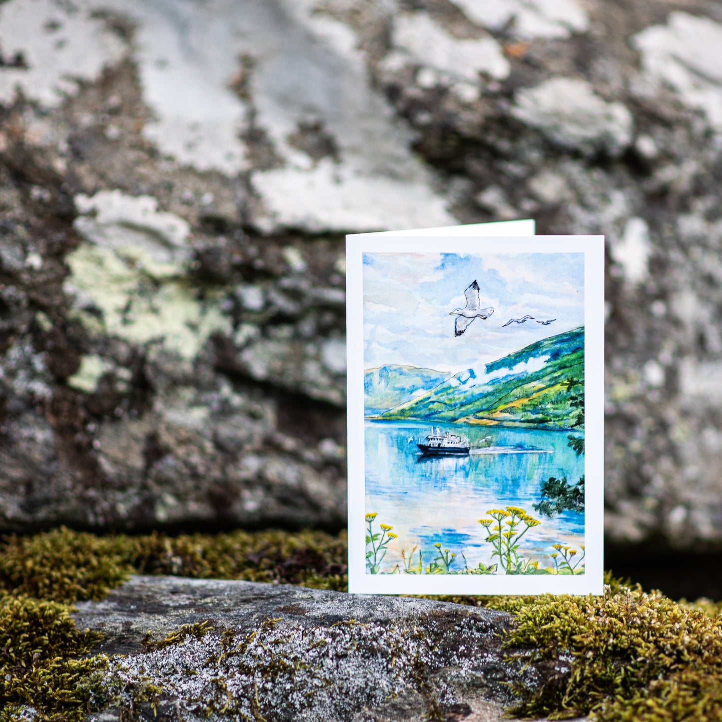 Scenery card- Lady Elizabeth boat with seagulls flying above