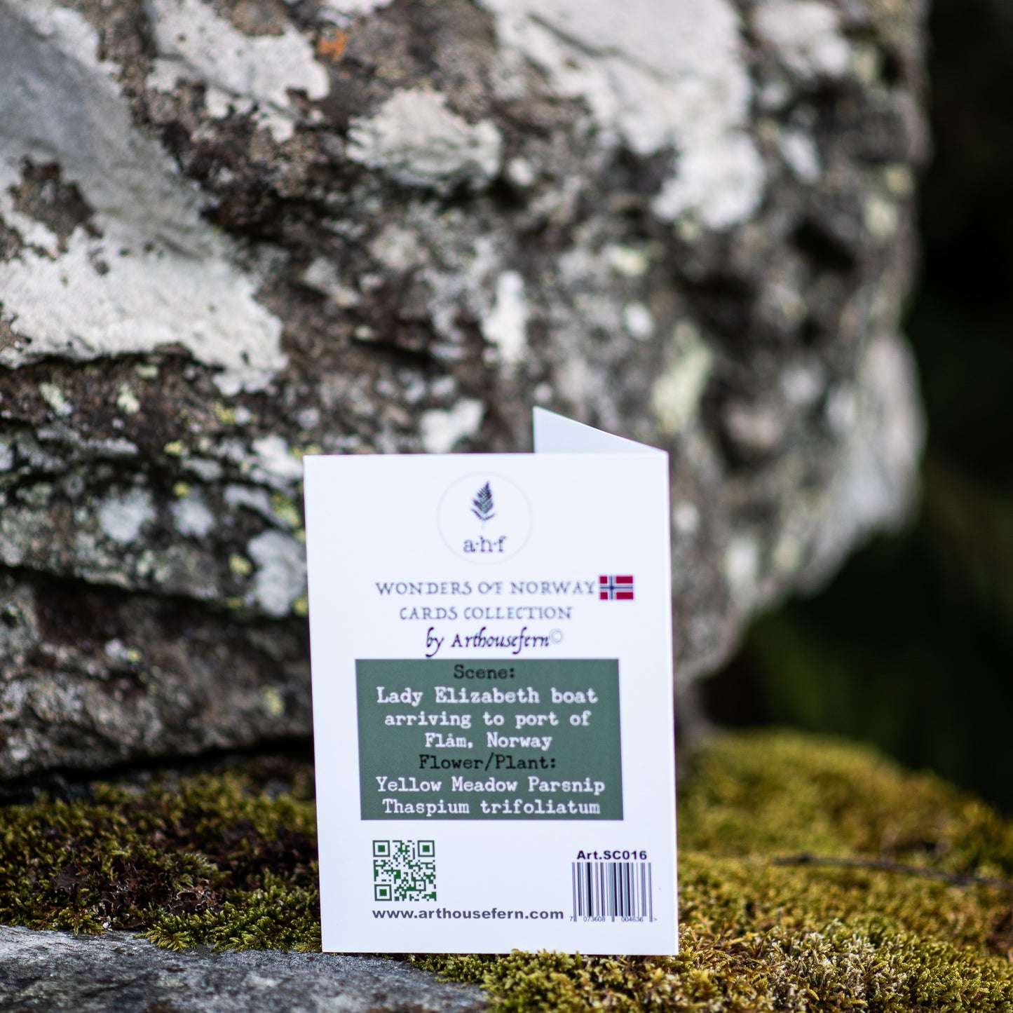 Scenery card- Lady Elizabeth boat with seagulls flying above