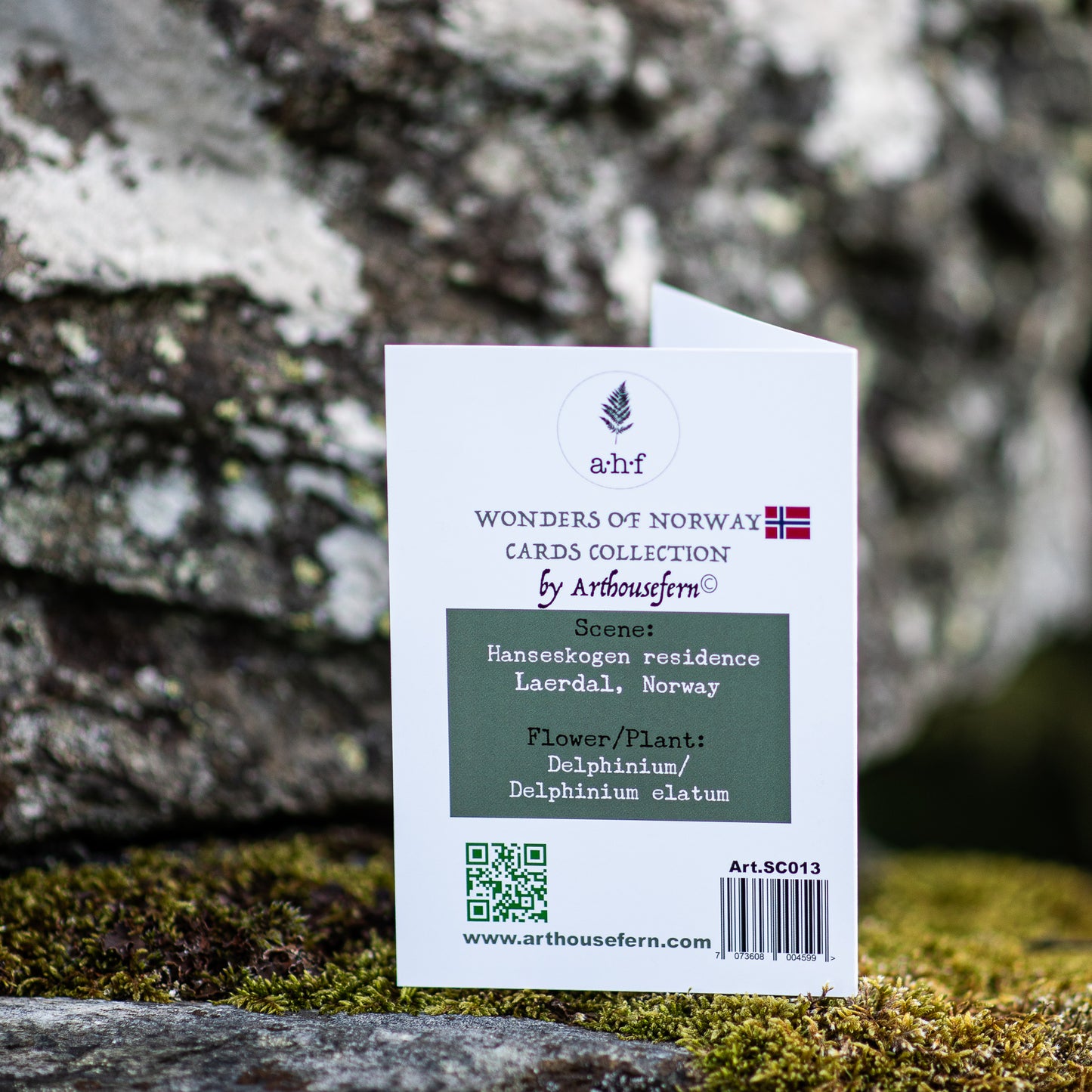 Scenery card- Hanseskogen with Delphinum