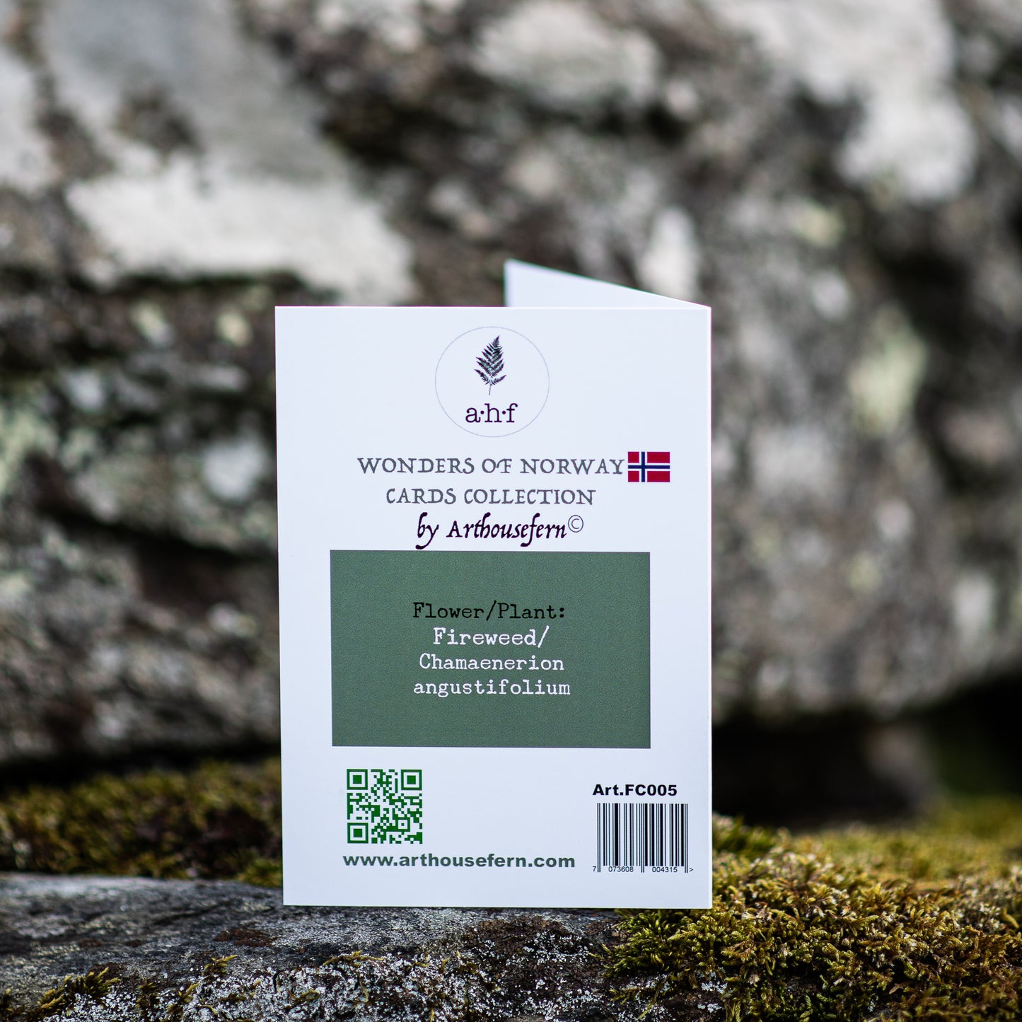 Fireweeds Illustation card