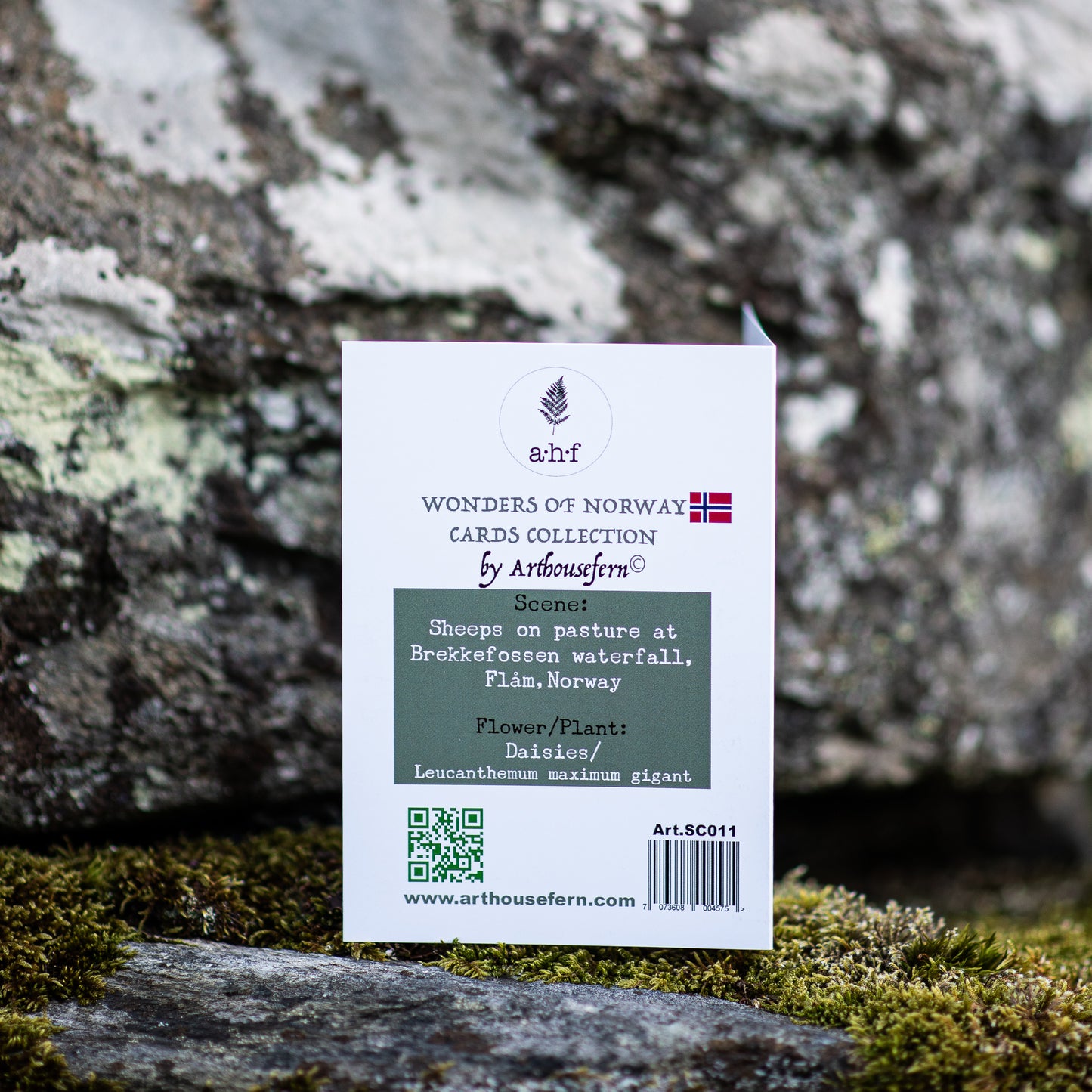 Scenery card- Brekkefossen with sheeps and daisies