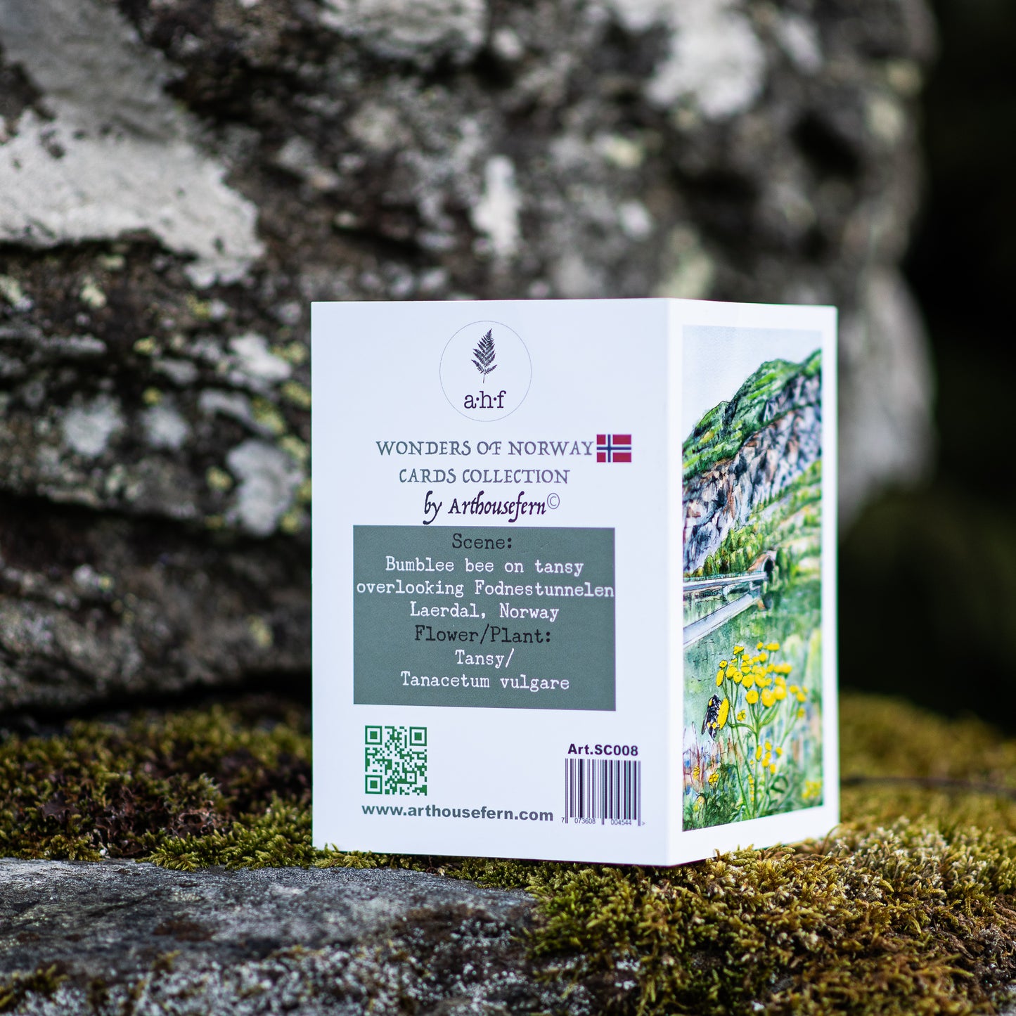 Scenery card- Bumblee bee on Tansy overlooking tunnel to Ardal