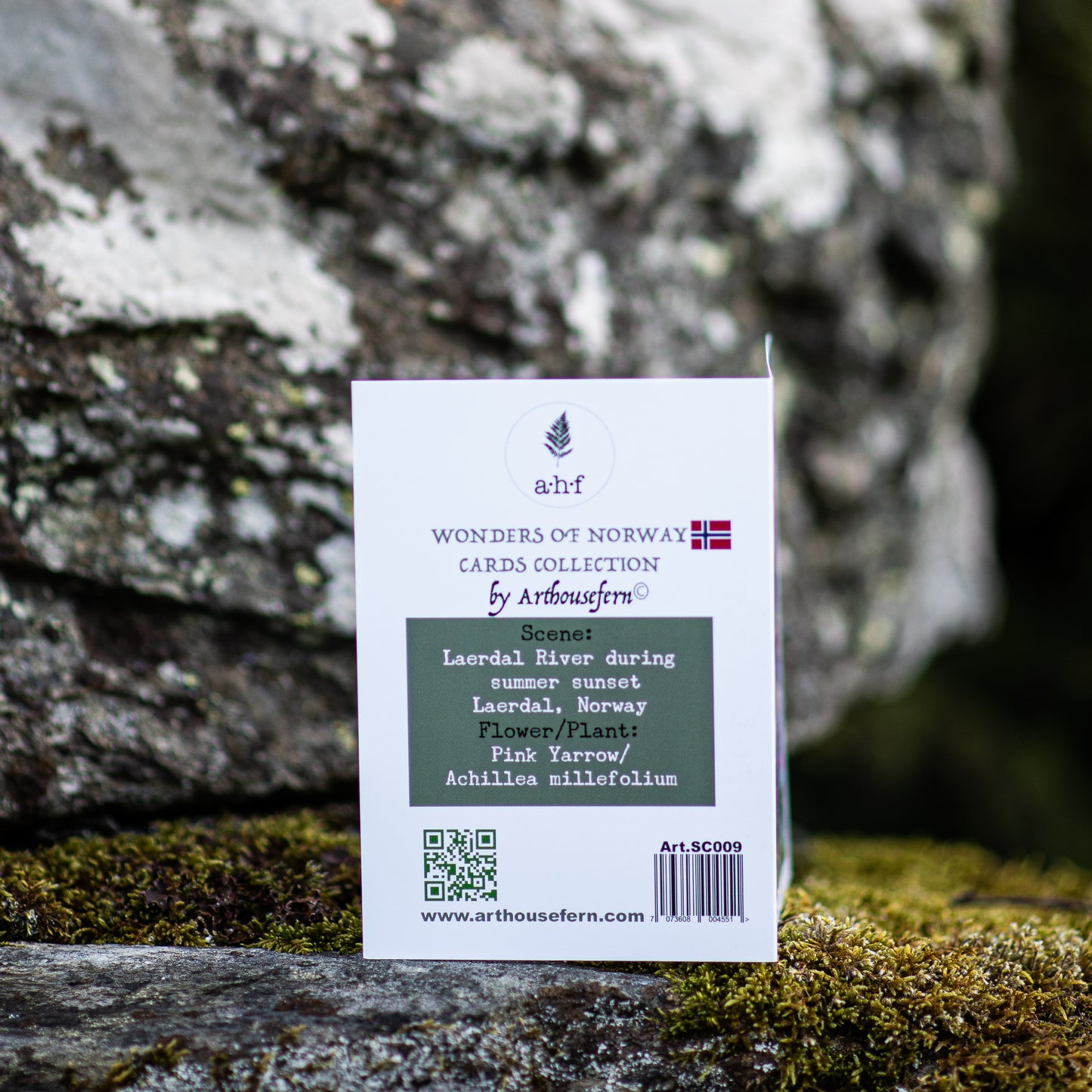 Scenery card- Lærdal River with Pink Yarrows during summer sunset