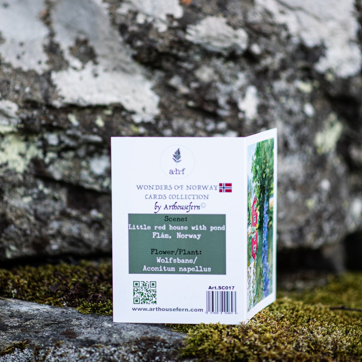 Scenery card- Little red house with pond and Monk’s hood flowers