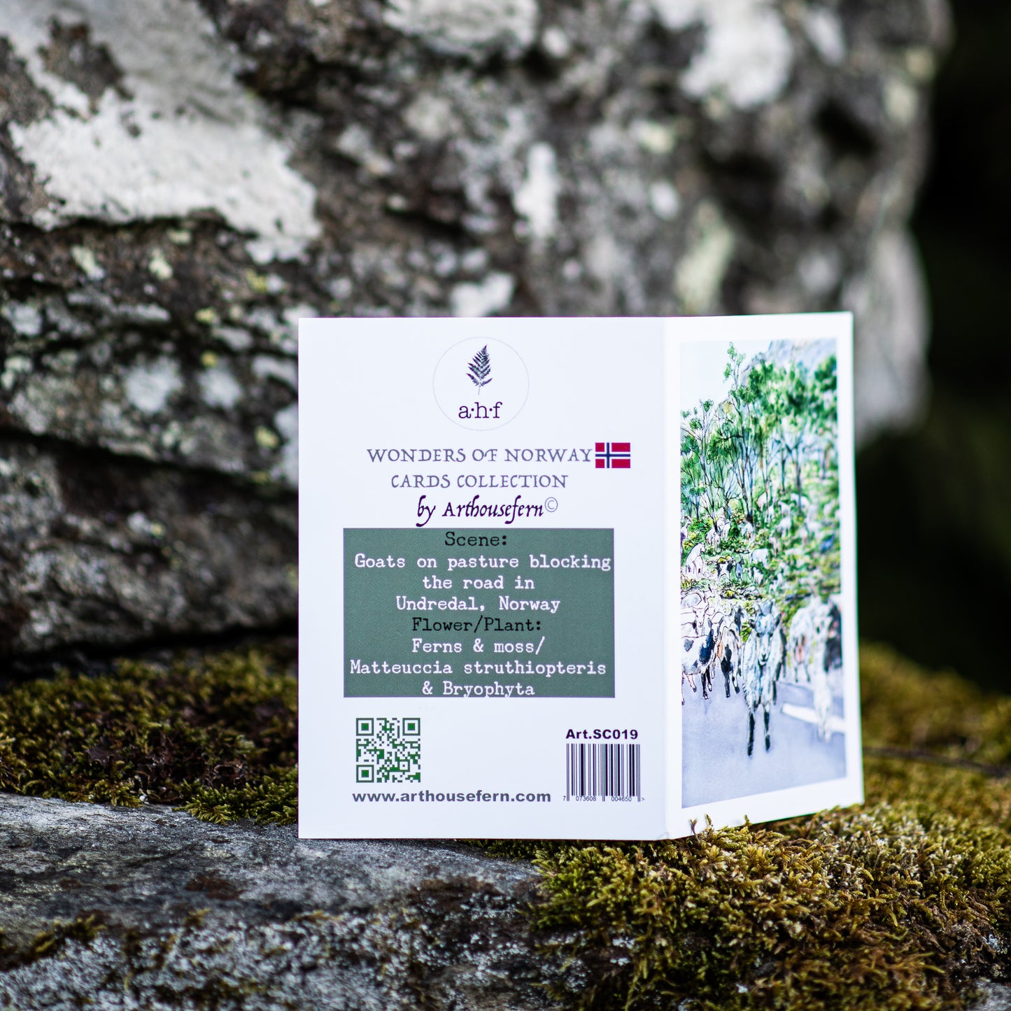 Scenery card- Goats in Undredal valley blocking the road with ferns