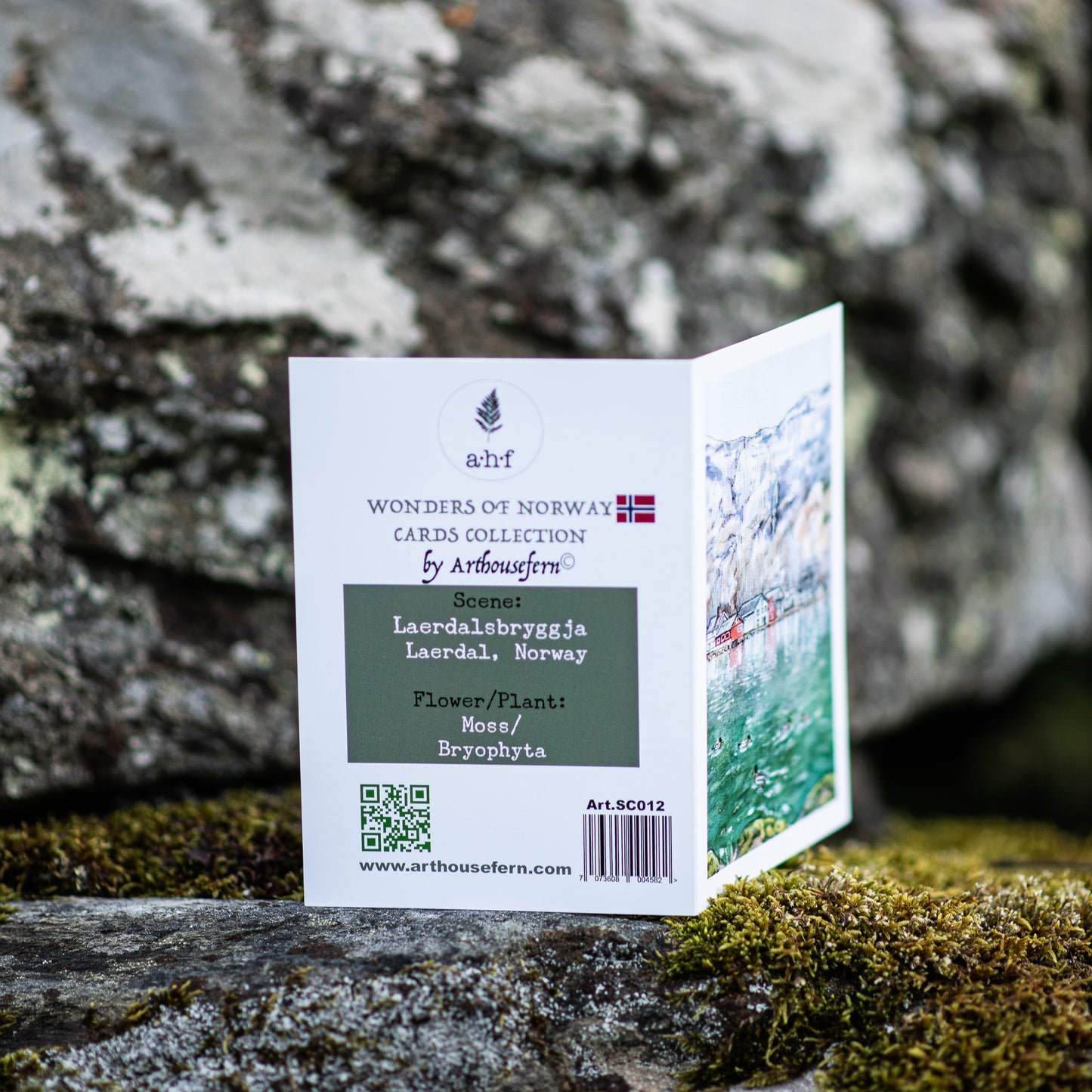 Scenery card- Lærdalsbryggja with ducks and moss