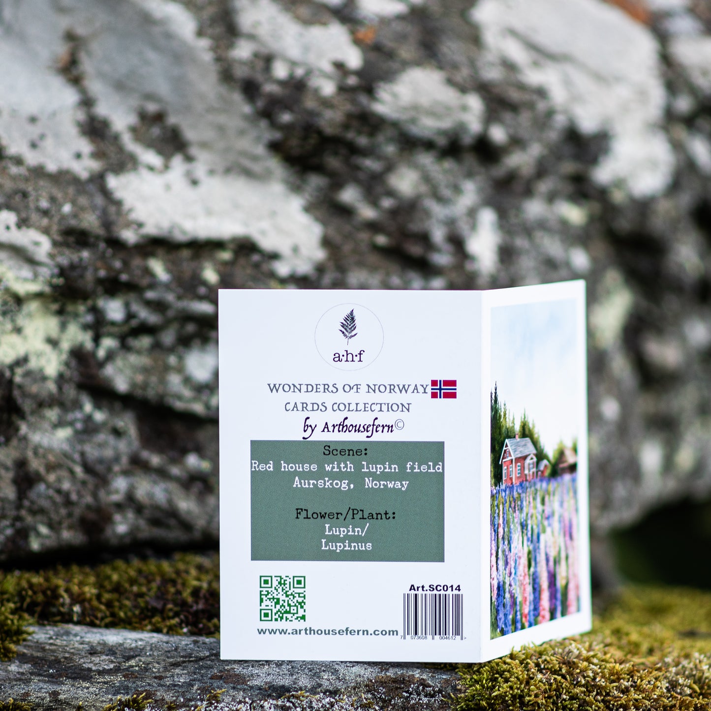 Scenery card- Lupins with red cabin Illustation